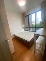 The Clement Canopy (D5), Apartment #566561941